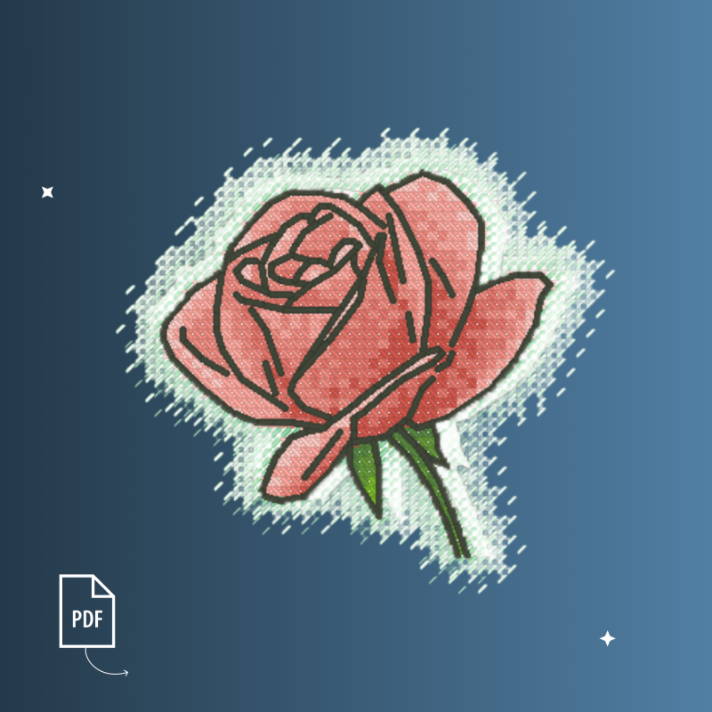Single Rose