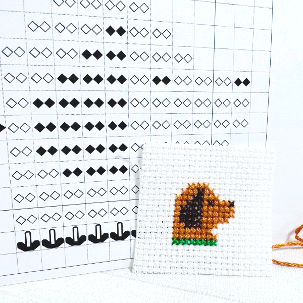 A Beginner’s Step-by-Step Tutorial How to Cross-Stitch